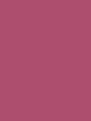 Savage Widetone Seamless Background Paper (Ruby, 53  x 36’) Online