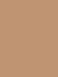 Savage Widetone Seamless Background Paper (Mocha, 107  x 36) Online Hot Sale