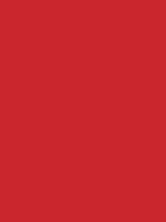 Savage Widetone Seamless Background Paper (Primary Red, 53  x 36) Online Sale