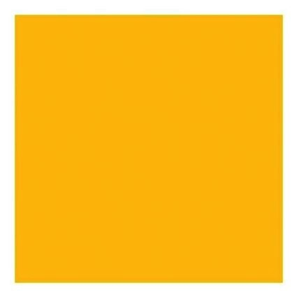 Rosco Roscolux #312 Filter 20” x 24  Sheet (Canary Yellow) on Sale