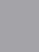 Savage Widetone Seamless Background Paper (Stone Gray 53  x 36  ) For Cheap