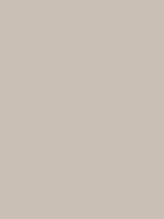 Savage Widetone Seamless Background Paper (Studio Gray, 107  x 36) Fashion