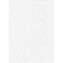 Promaster Solid Backdrop 6 x 10 - White Online Hot Sale