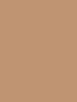 Savage Widetone Seamless Background Paper (Mocha, 53  x 36) For Discount