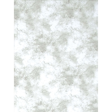 Promaster Cloud Dyed Backdrop 6 x 10 - Light Gray Online now