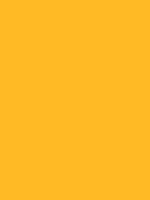 Savage Widetone Seamless Background Paper (Deep Yellow, 53  x 36) Online Sale