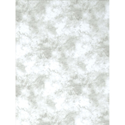 Promaster Cloud Dyed Backdrop 6 x 10 - Light Gray Online now