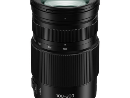 Panasonic Lumix G Vario 100-300mm f 4-5.6 II POWER O.I.S. Lens Sale