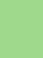 Savage Widetone Seamless Background Paper (Mint Green, 53  x 36) Supply