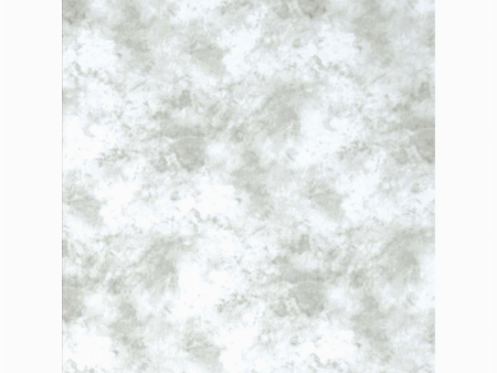 Promaster Cloud Dyed Backdrop 10 x 20 - Light Gray Supply