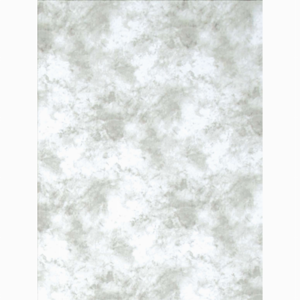 Promaster Cloud Dyed Backdrop 10 x 20 - Light Gray Supply