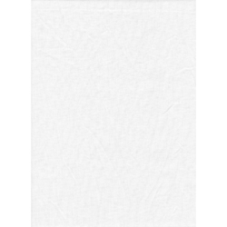 Promaster Solid Backdrop 10x12 - White For Discount