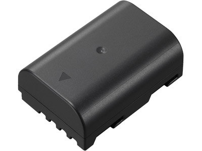 Panasonic DMW-BLF19 Lithium Ion Battery Hot on Sale