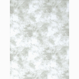 Promaster Cloud Dyed Backdrop 10 x 20 - Light Gray Supply