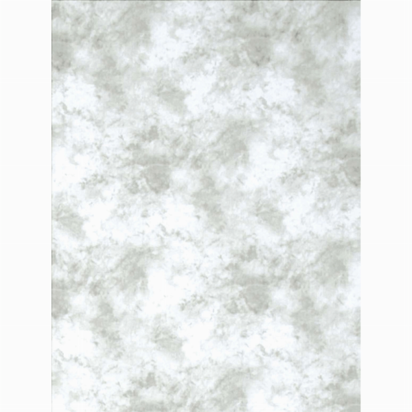 Promaster Cloud Dyed Backdrop 10 x 20 - Light Gray Supply